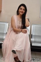 Mehreen at Krishna Gadi Veera Prema Gaadha Movie Thanks Meet
